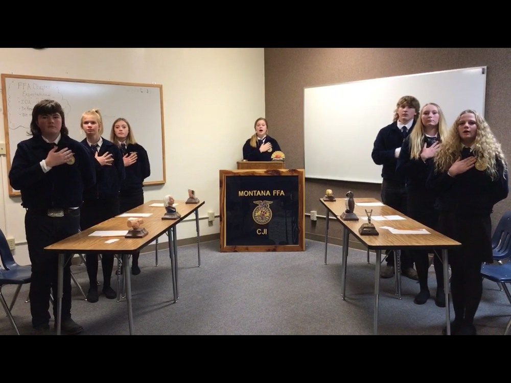 FFA News